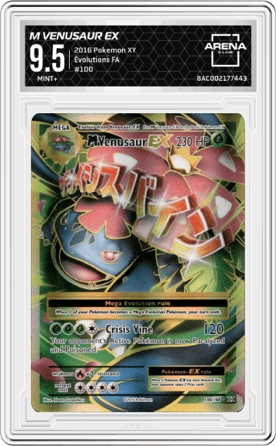 M Venusaur EX