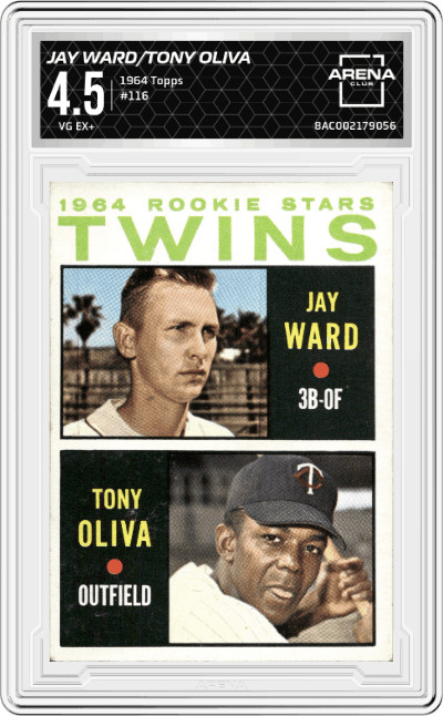 Jay Ward/Tony Oliva