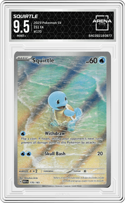Squirtle
