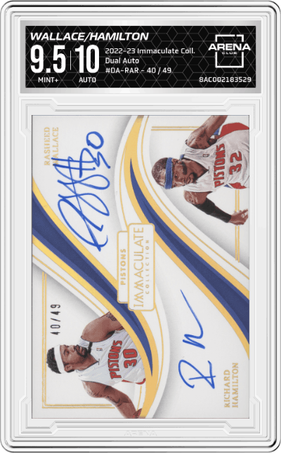 Rasheed Wallace/Richard Hamilton