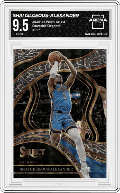 Shai Gilgeous-Alexander