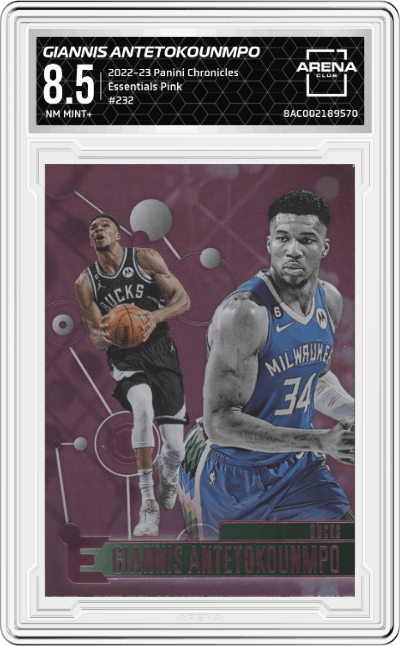 Giannis Antetokounmpo