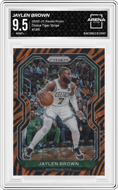 Jaylen Brown