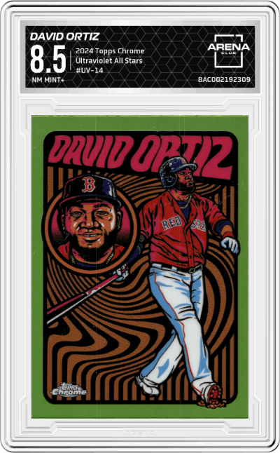 David Ortiz