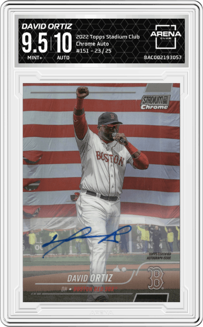 David Ortiz