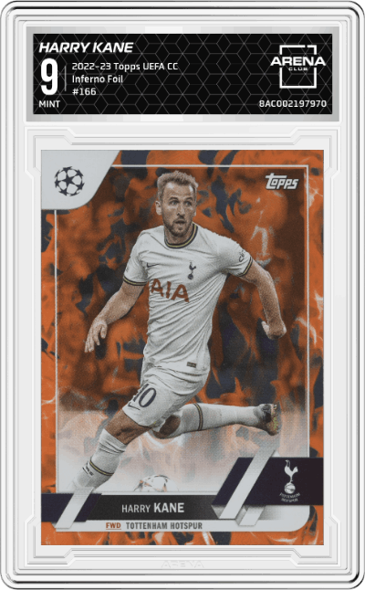 Harry Kane