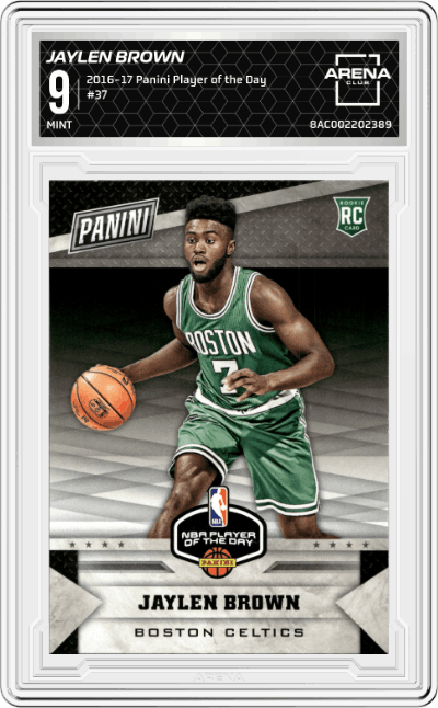 Jaylen Brown