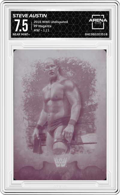 Stone Cold Steve Austin