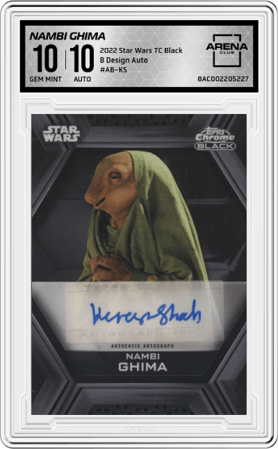 Kiran Shah as Nambi Ghima