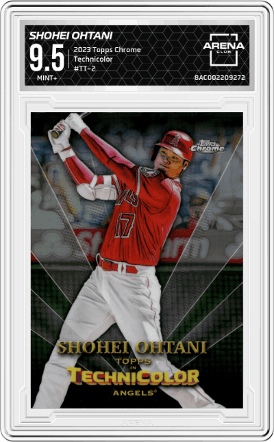 Shohei Ohtani