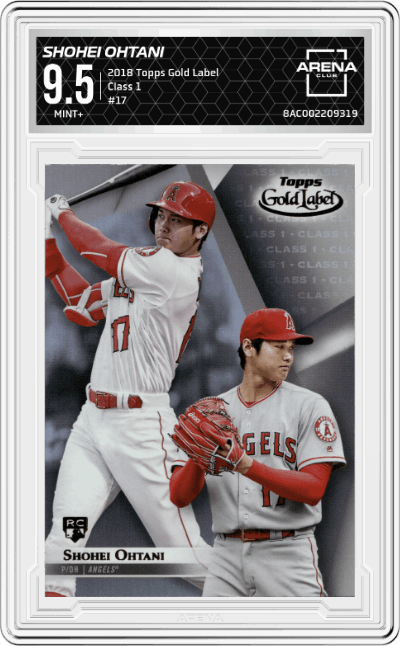 Shohei Ohtani