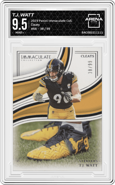 T.J. Watt