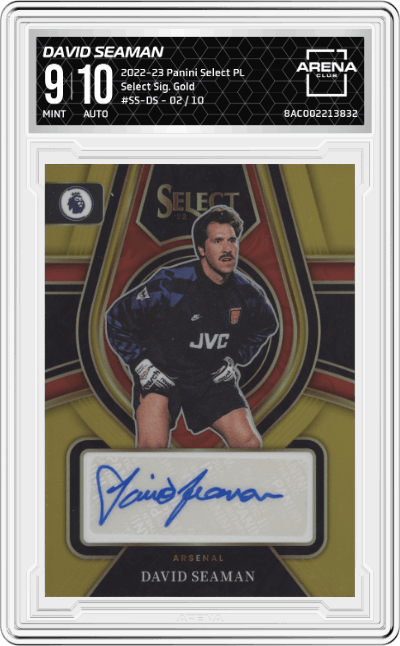 David Seaman
