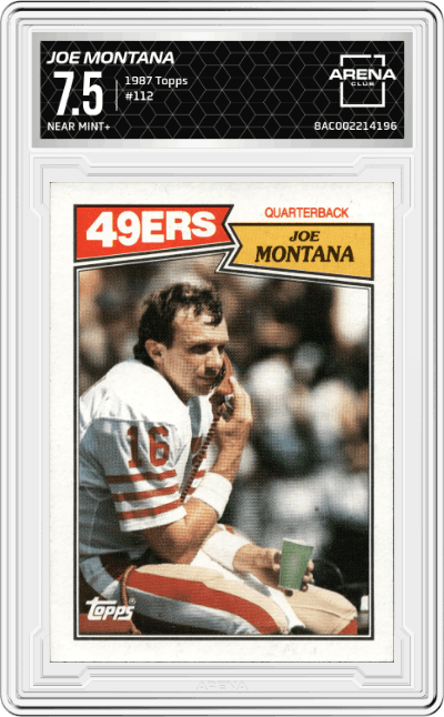Joe Montana