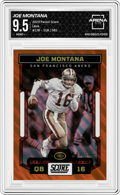 Joe Montana