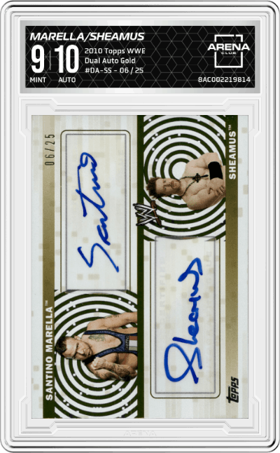 Santino Marella/Sheamus