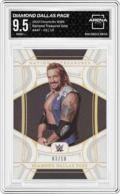 Diamond Dallas Page