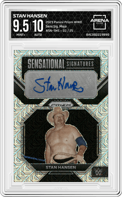Stan Hansen