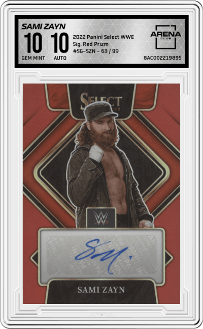 Sami Zayn 