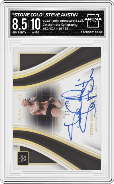 "Stone Cold" Steve Austin