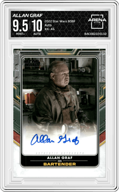 Allan Graf as Bartender