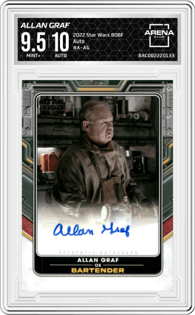 Allan Graf as Bartender