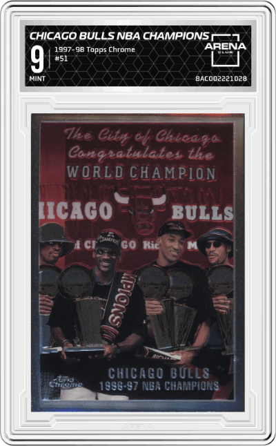 Chicago Bulls NBA Champions