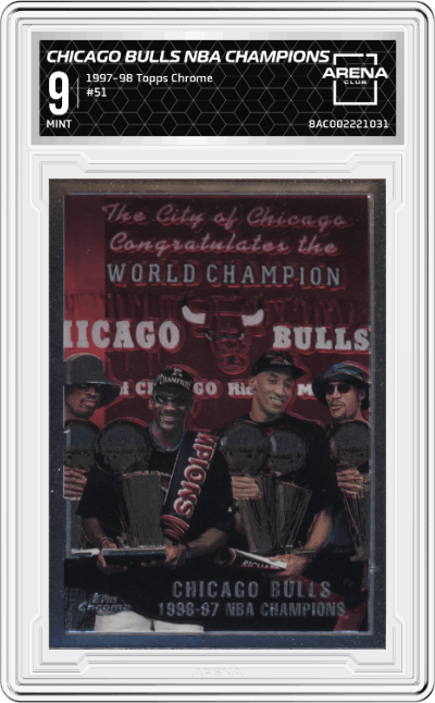 Chicago Bulls NBA Champions