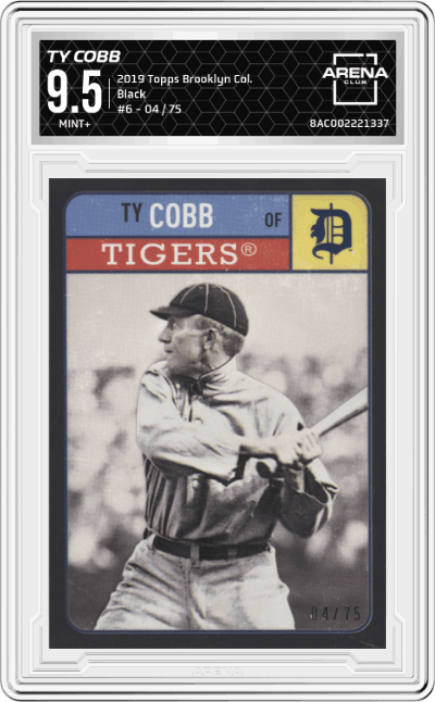 Ty Cobb