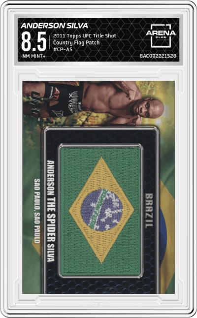 Anderson Silva