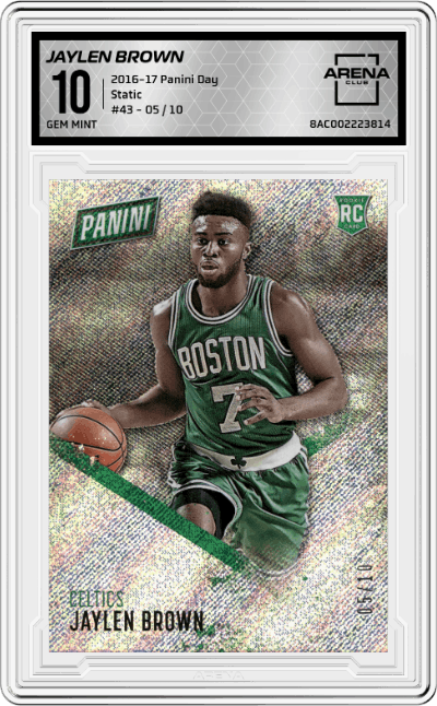 Jaylen Brown