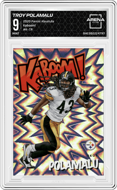 Troy Polamalu
