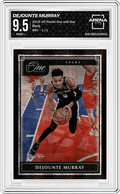 Dejounte Murray
