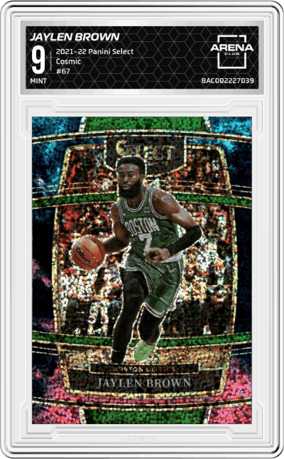 Jaylen Brown