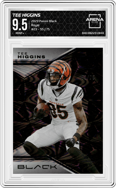 Tee Higgins