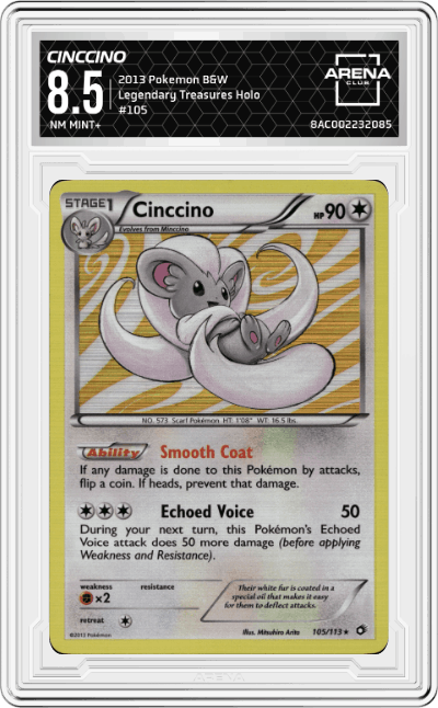 Cinccino
