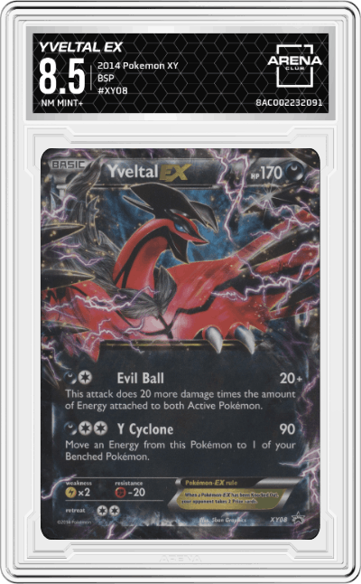 Yveltal EX