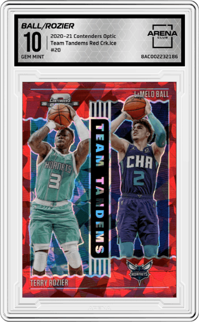 LaMelo Ball/Terry Rozier