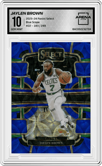 Jaylen Brown