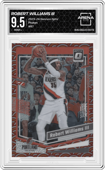Robert Williams III