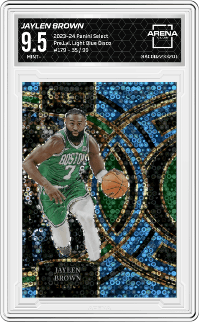 Jaylen Brown
