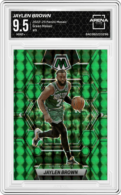 Jaylen Brown