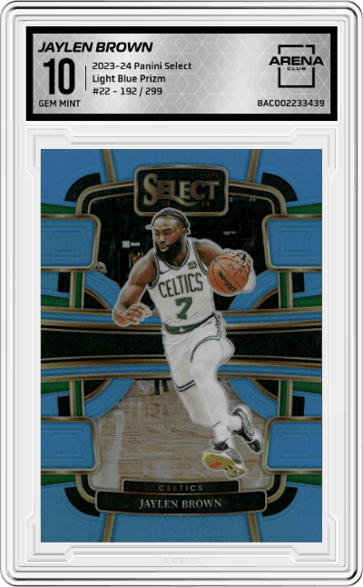 Jaylen Brown