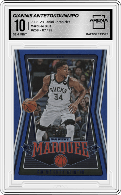 Giannis Antetokounmpo 