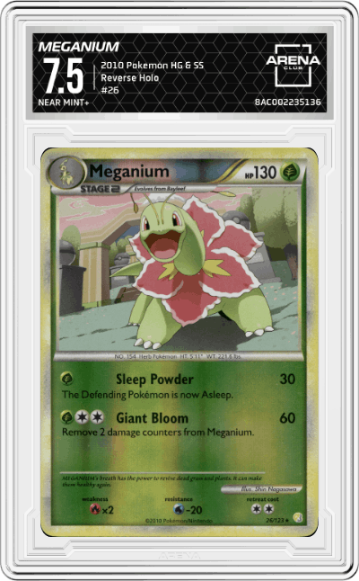 Meganium