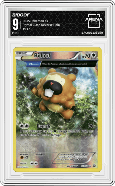 Bidoof