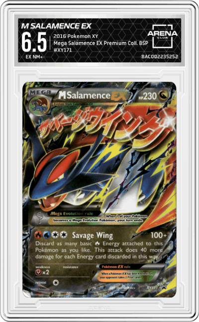 M Salamence EX