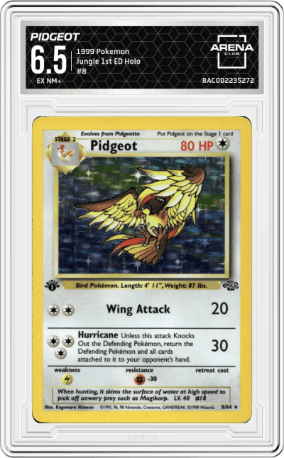 Pidgeot