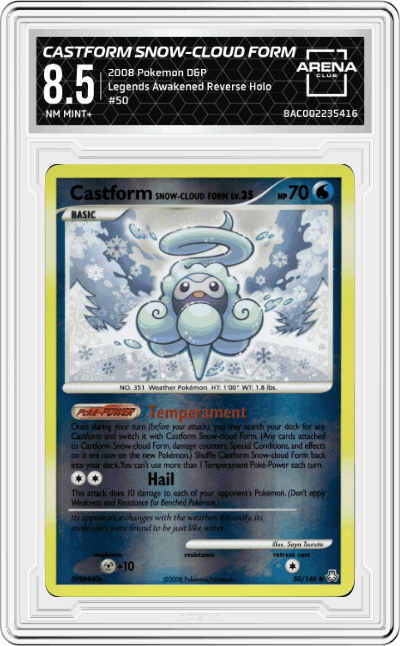 Castform Snow-Cloud Form