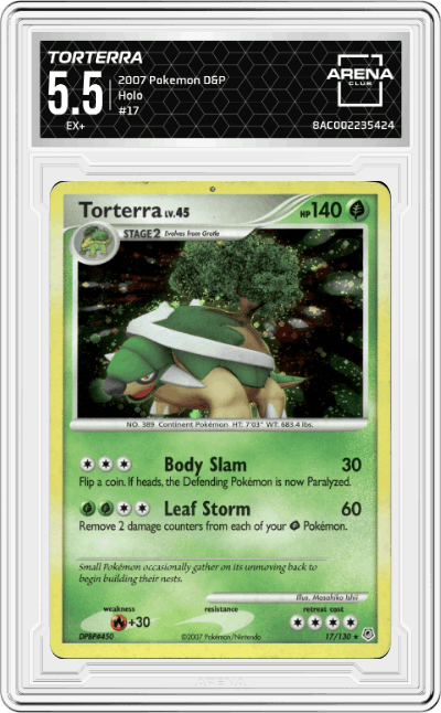 Torterra